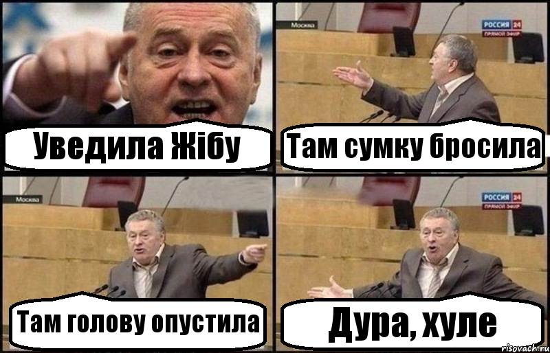 Уведила Жібу Там сумку бросила Там голову опустила Дура, хуле, Комикс Жириновский