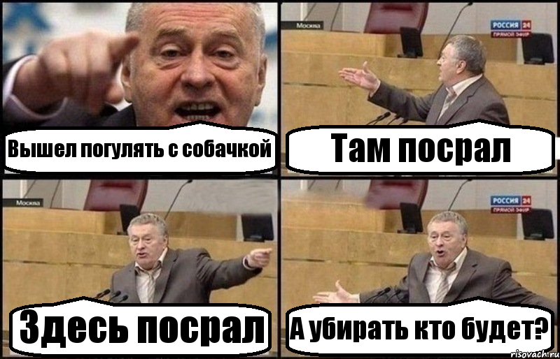 Вышел погулять с собачкой Там посрал Здесь посрал А убирать кто будет?, Комикс Жириновский