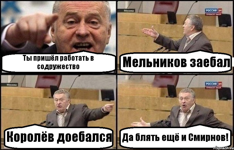 Ты пришёл работать в содружество Мельников заебал Королёв доебался Да блять ещё и Смирнов!, Комикс Жириновский