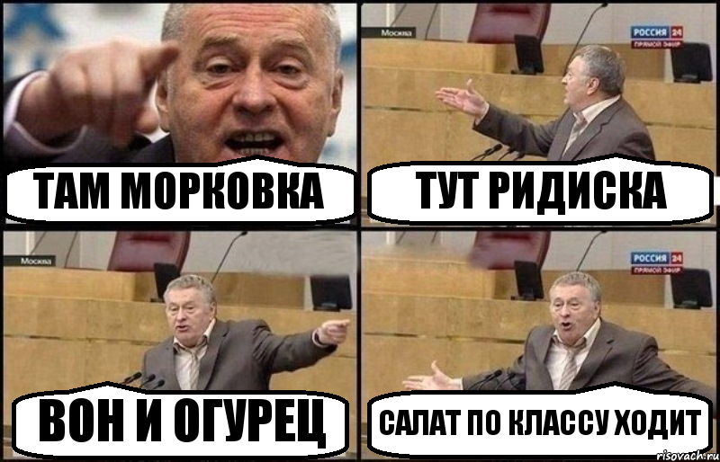 ТАМ МОРКОВКА ТУТ РИДИСКА ВОН И ОГУРЕЦ САЛАТ ПО КЛАССУ ХОДИТ, Комикс Жириновский