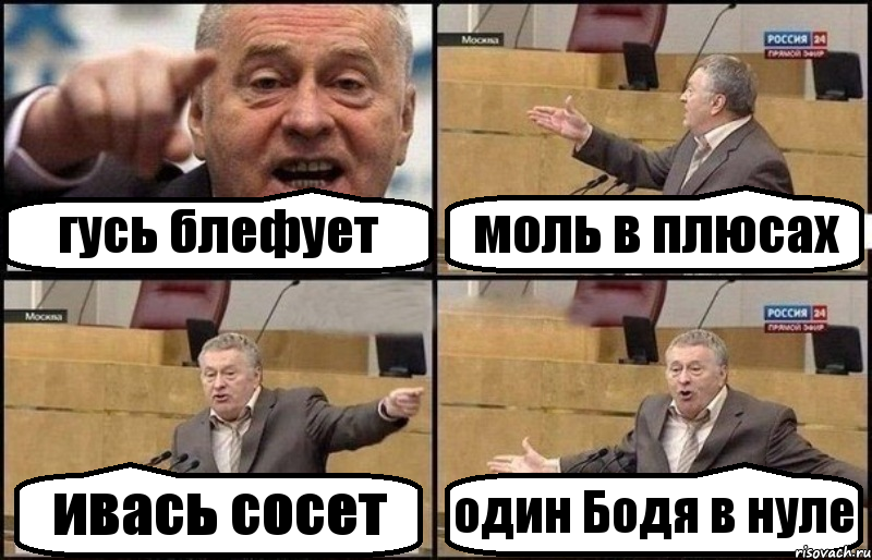 гусь блефует моль в плюсах ивась сосет один Бодя в нуле, Комикс Жириновский