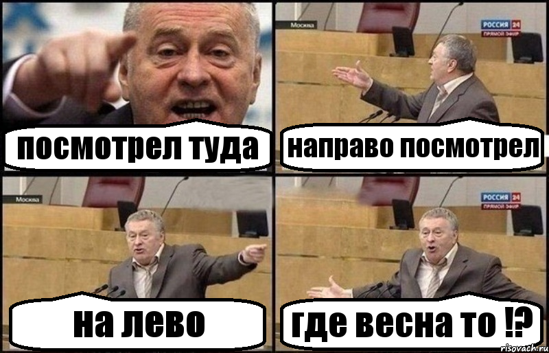 посмотрел туда направо посмотрел на лево где весна то !?, Комикс Жириновский