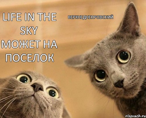 Life in the sky может на поселок Верхнеднепровский, Комикс  2 кота