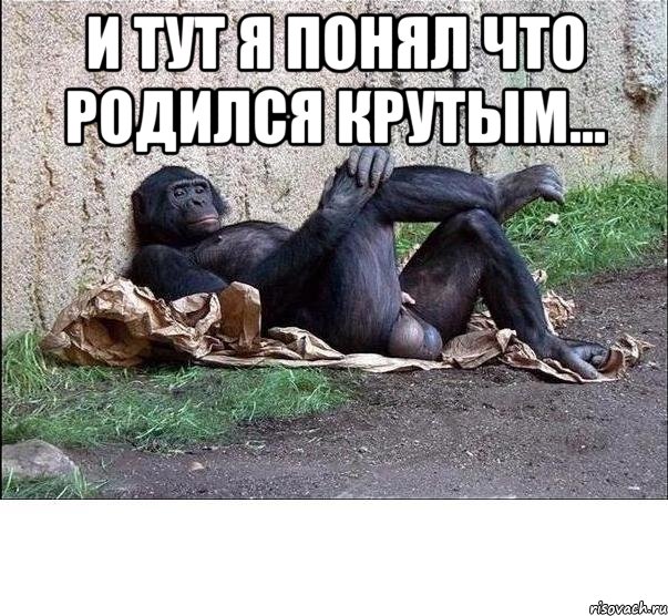 и тут я понял что родился крутым... 