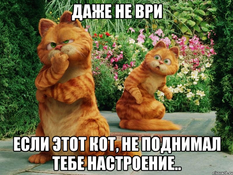 Даже не ври