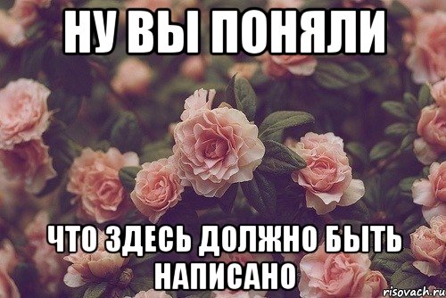 Так не должно быть. Цветок есть цветок Мем. Цветы пикча. Где Мои цветочки. С др вот цветок Мем.