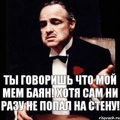 Ты говоришь что мой мем баян! Хотя сам ни разу не попал на стену!