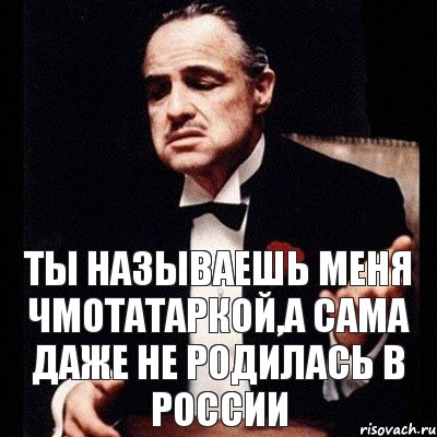 Ты называешь меня чмотатаркой,а сама даже не родилась в России