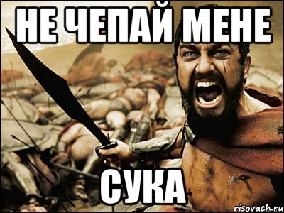 не чепай мене сука, Мем Это Спарта