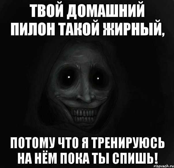 твой домашний пилон такой жирный, потому что я тренируюсь на нём пока ты спишь!, Мем Ночной гость