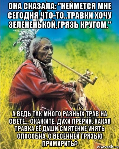 она сказала: "неймется мне сегодня что-то..травки хочу зелененькой,грязь кругом." а ведь так много разных трав на свете... скажите, духи прерий, какая травка её души смятение унять способна, с весенней грязью примирить?, Мем индеец