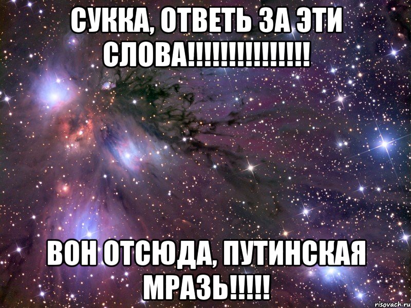 сукка, ответь за эти слова!!! вон отсюда, путинская мразь!!!, Мем Космос