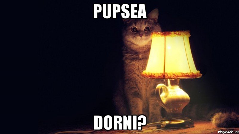 pupsea dorni?