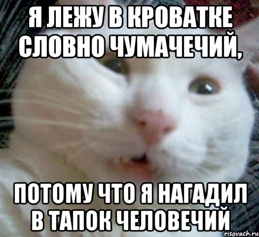 я лежу в кроватке словно чумачечий, потому что я нагадил в тапок человечий