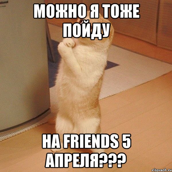 можно я тоже пойду на friends 5 апреля???, Мем  котэ молится