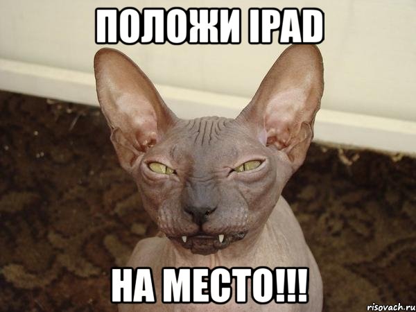 положи ipad на место!!!, Мем  Злой котик