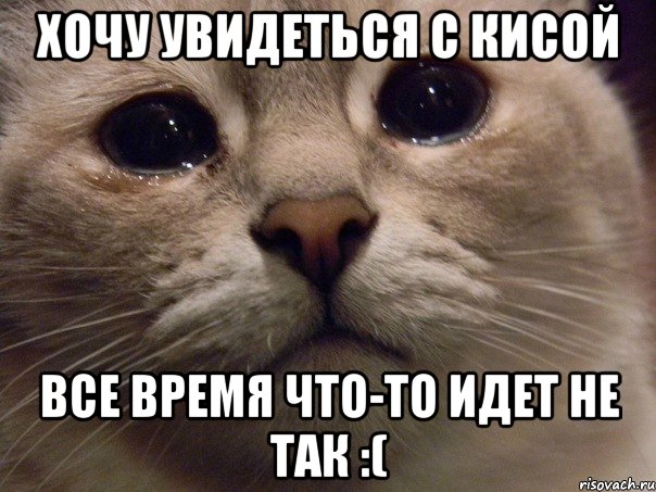 хочу увидеться с кисой все время что-то идет не так :(