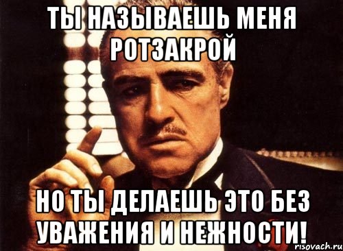 ты называешь меня ротзакрой но ты делаешь это без уважения и нежности!, Мем крестный отец