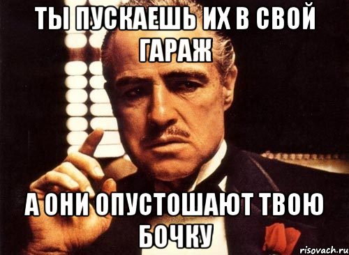 ты пускаешь их в свой гараж а они опустошают твою бочку, Мем крестный отец