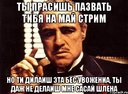 ты прасишь пазвать тибя на май стрим но ти дилаиш эта бес увожениа, ты даж не делаиш мне сасай шлена, Мем крестный отец