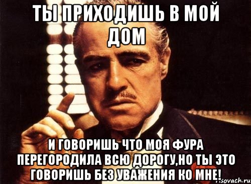 ты приходишь в мой дом и говоришь что моя фура перегородила всю дорогу,но ты это говоришь без уважения ко мне!, Мем крестный отец