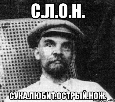 с.л.о.н. сука.любит.острый.нож., Мем   Ленин удивлен