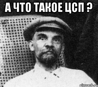 а что такое цсп ? , Мем   Ленин удивлен