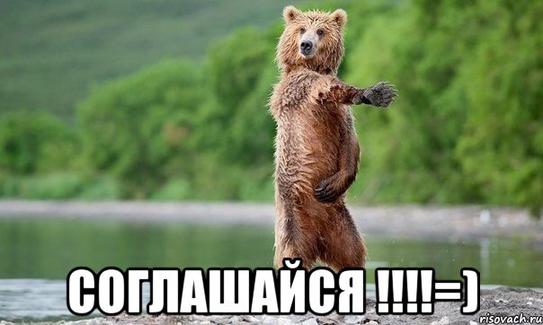  соглашайся !!!=), Мем Медвед танцует
