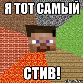 я тот самый стив!, Мем Миникрафтер