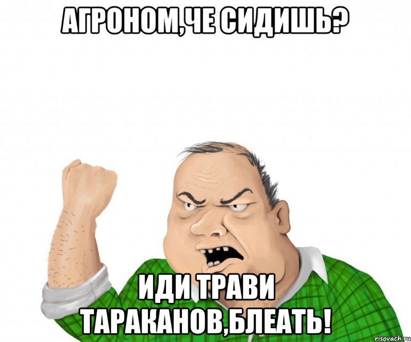 агроном,че сидишь? иди трави тараканов,блеать!, Мем мужик