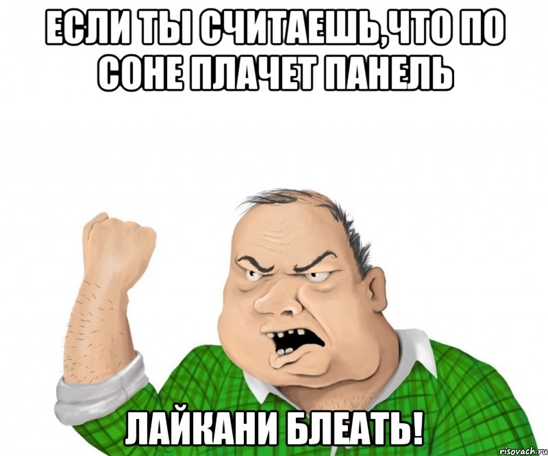 если ты считаешь,что по соне плачет панель лайкани блеать!, Мем мужик