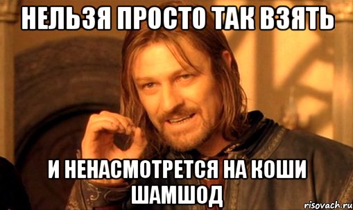 нельзя просто так взять и ненасмотрется на коши шамшод, Мем Нельзя просто так взять и (Боромир мем)