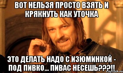 вот нельзя просто взять и крякнуть как уточка это делать надо с изюминкой - под пивко... пивас несешь???!!, Мем Нельзя просто так взять и (Боромир мем)