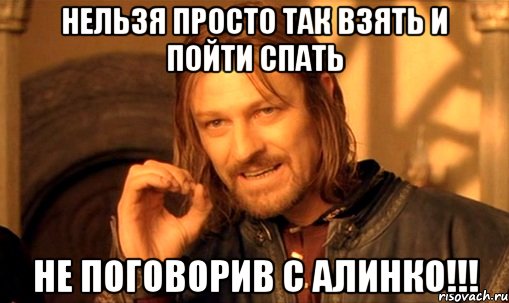 нельзя просто так взять и пойти спать не поговорив с алинко!!!, Мем Нельзя просто так взять и (Боромир мем)