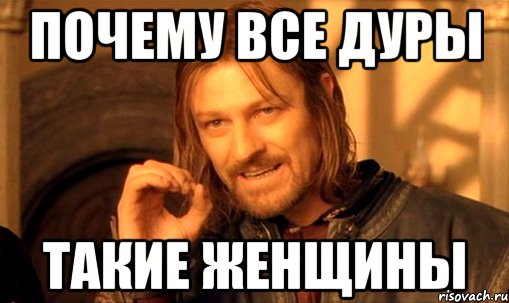 почему все дуры такие женщины, Мем Нельзя просто так взять и (Боромир мем)