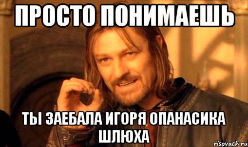 просто понимаешь ты заебала игоря опанасика шлюха, Мем Нельзя просто так взять и (Боромир мем)