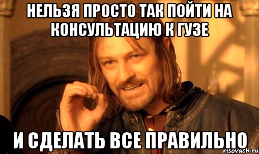 нельзя просто так пойти на консультацию к гузе и сделать все правильно, Мем Нельзя просто так взять и (Боромир мем)