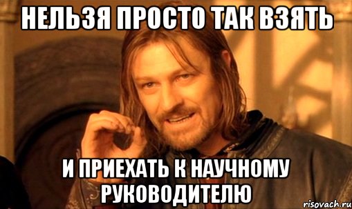 нельзя просто так взять и приехать к научному руководителю, Мем Нельзя просто так взять и (Боромир мем)