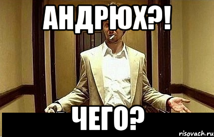 андрюх?! чего?, Мем Ну чо