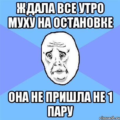 ждала все утро муху на остановке она не пришла не 1 пару, Мем Okay face