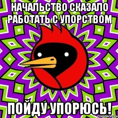 начальство сказало работать с упорством пойду упорюсь!, Мем Омская птица