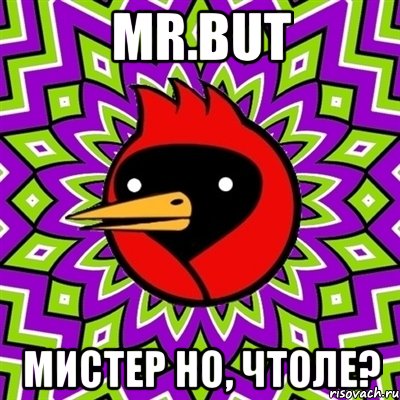 mr.but мистер но, чтоле?, Мем Омская птица