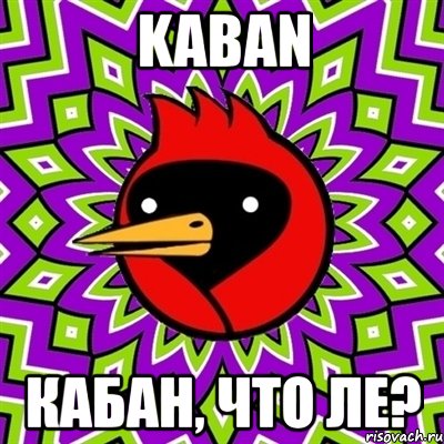 kaban кабан, что ле?, Мем Омская птица