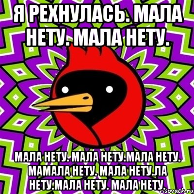 я рехнулась. мала нету. мала нету. мала нету. мала нету.мала нету. мамала нету. мала нету.ла нету.мала нету. мала нету., Мем Омская птица