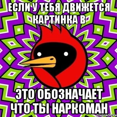 Песня птица счастья завтрашнего дня слушать. Мем risovach птица счастья завтрашнего дня. Птица счастья завтрашнего дня прилетела яйцами звеня. Омская птица пустой Мем. Антон Семакин птица счастья завтрашнего дня.