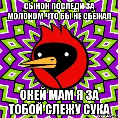 сынок последи за молоком что бы не сбежал окей мам я за тобой слежу сука, Мем Омская птица