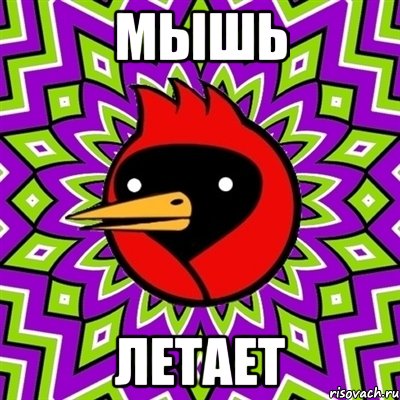 мышь летает, Мем Омская птица