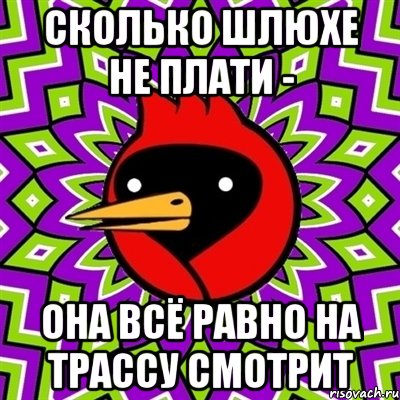 сколько шлюхе не плати - она всё равно на трассу смотрит, Мем Омская птица