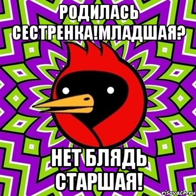 родилась сестренка!младшая? нет блядь старшая!, Мем Омская птица