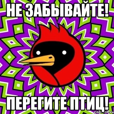 не забывайте! перегите птиц!, Мем Омская птица